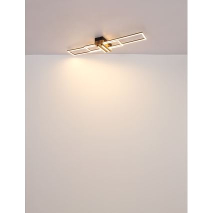 Globo - LED lubinis šviestuvas LED/40W/230V 3000K 25x100 cm juoda