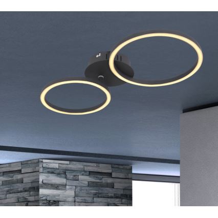 Globo - LED Ant pagrindo montuojamas sietynas KENDY LED/24W/230V