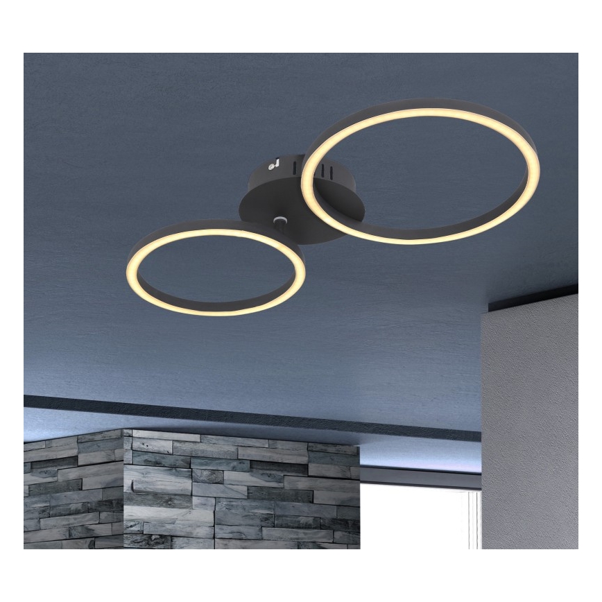 Globo - LED Ant pagrindo montuojamas sietynas KENDY LED/24W/230V