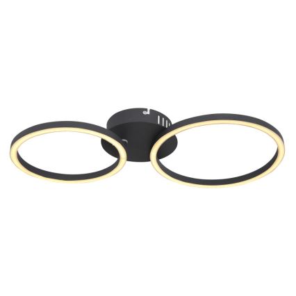 Globo - LED Ant pagrindo montuojamas sietynas KENDY LED/24W/230V