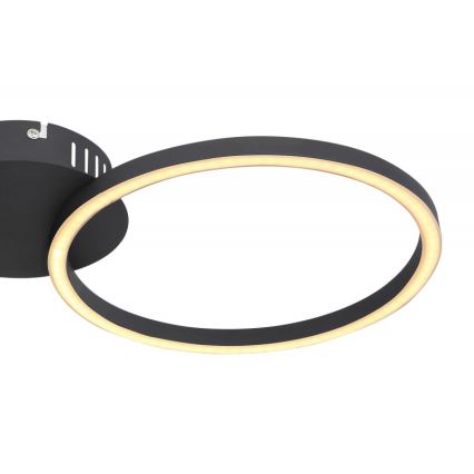 Globo - LED Ant pagrindo montuojamas sietynas KENDY LED/24W/230V