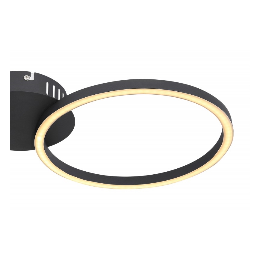 Globo - LED Ant pagrindo montuojamas sietynas KENDY LED/24W/230V