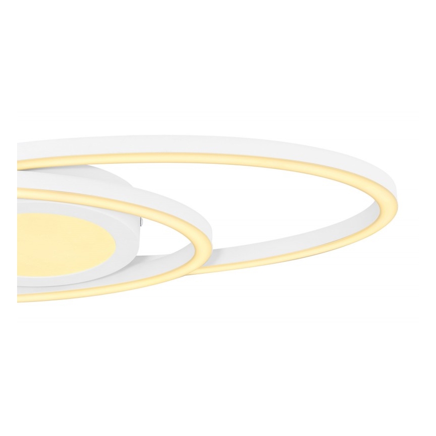Globo - LED Lubinis šviestuvas LED/24W/230V