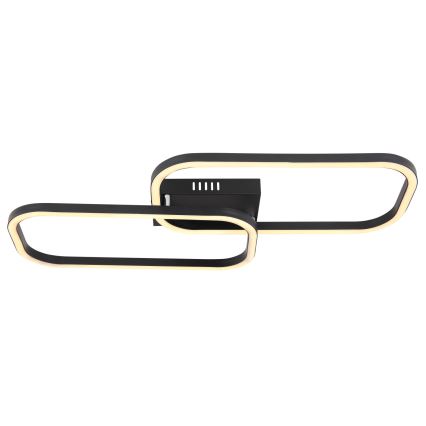 Globo - LED Ant pagrindo montuojamas sietynas 2xLED/8W/230V