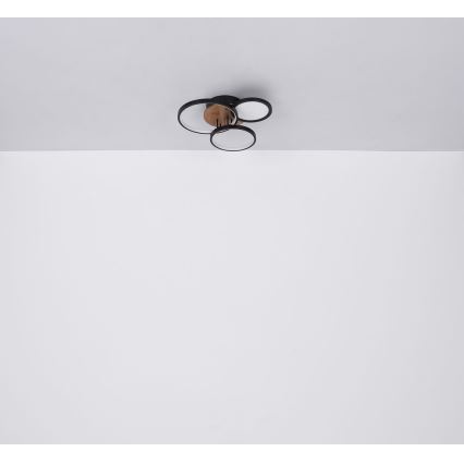 Globo - LED Ant pagrindo montuojamas sietynas LED/30W/230V