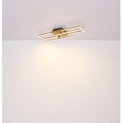Globo - LED lubinis šviestuvas LED/18W/230V