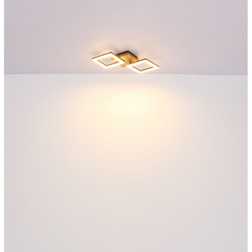 Globo - LED Ant pagrindo montuojamas sietynas LED/18W/230V
