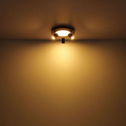 Globo - LED akcentinis šviestuvas 3xGU10/5W/230V + LED/15W/230V