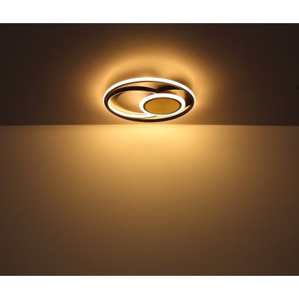 Globo - LED lubinis šviestuvas LED/24W/230V
