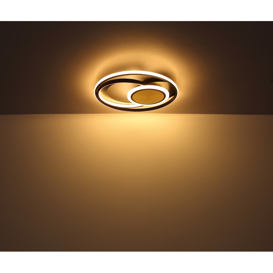 Globo - LED lubinis šviestuvas LED/24W/230V