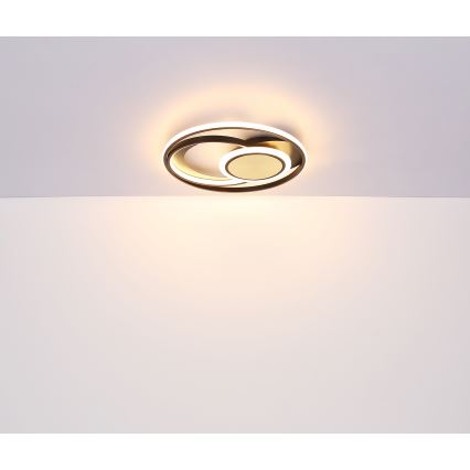 Globo - LED lubinis šviestuvas LED/24W/230V