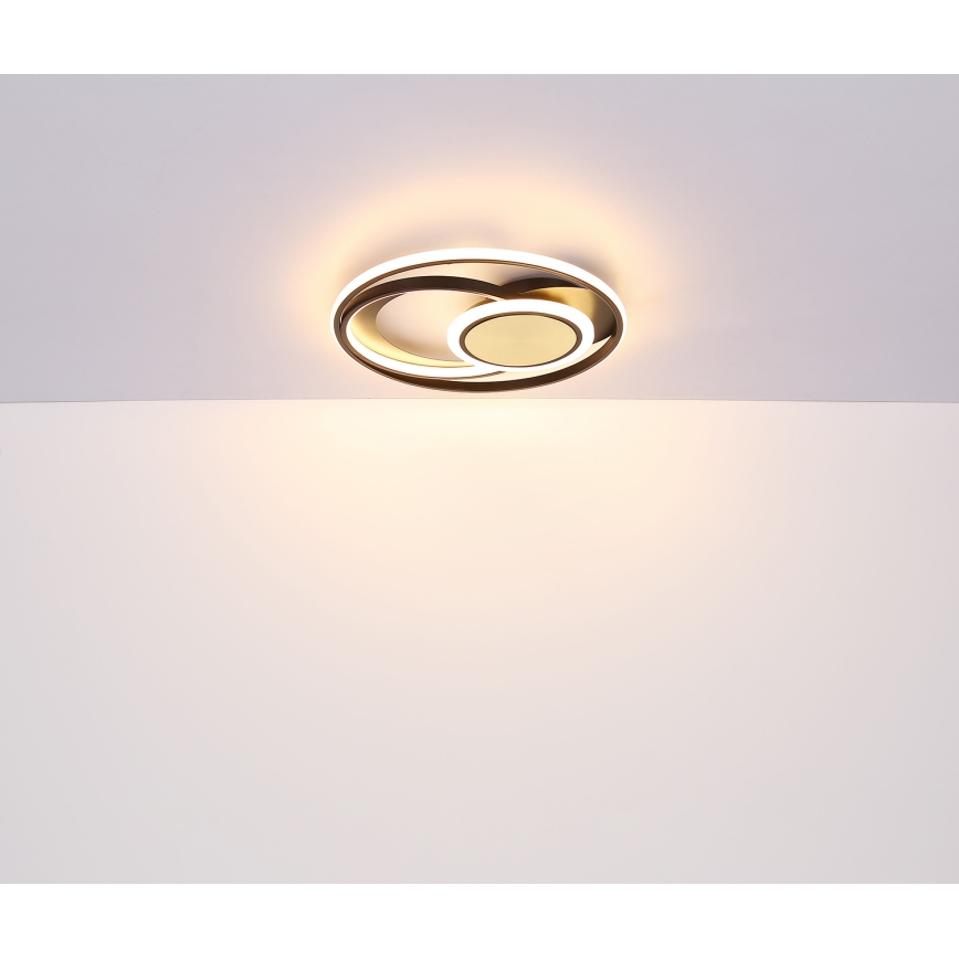 Globo - LED lubinis šviestuvas LED/24W/230V