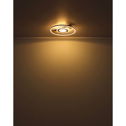 Globo - LED lubinis šviestuvas LED/24W/230V