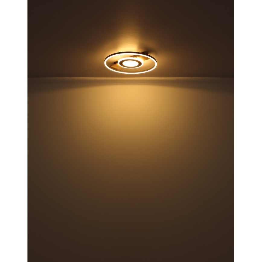 Globo - LED lubinis šviestuvas LED/24W/230V