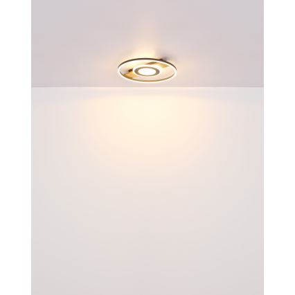 Globo - LED lubinis šviestuvas LED/24W/230V