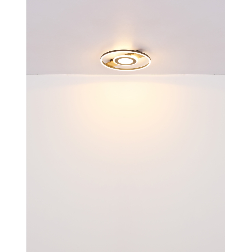 Globo - LED lubinis šviestuvas LED/24W/230V