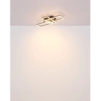 Globo - LED lubinis šviestuvas LED/24W/230V