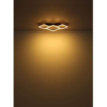 Globo - LED lubinis šviestuvas LED/24W/230V