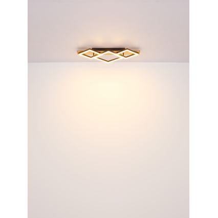 Globo - LED lubinis šviestuvas LED/24W/230V