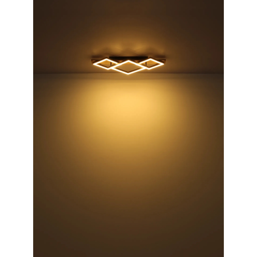 Globo - LED lubinis šviestuvas LED/24W/230V