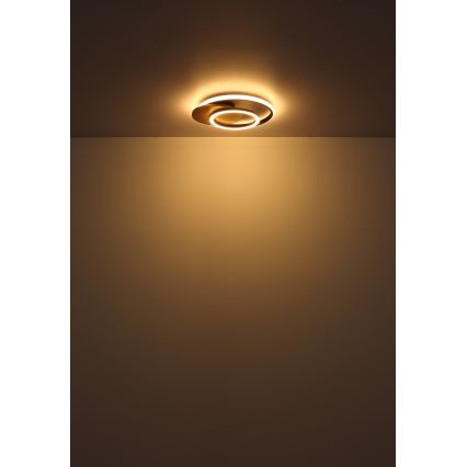 Globo - LED lubinis šviestuvas LED/24W/230V juoda