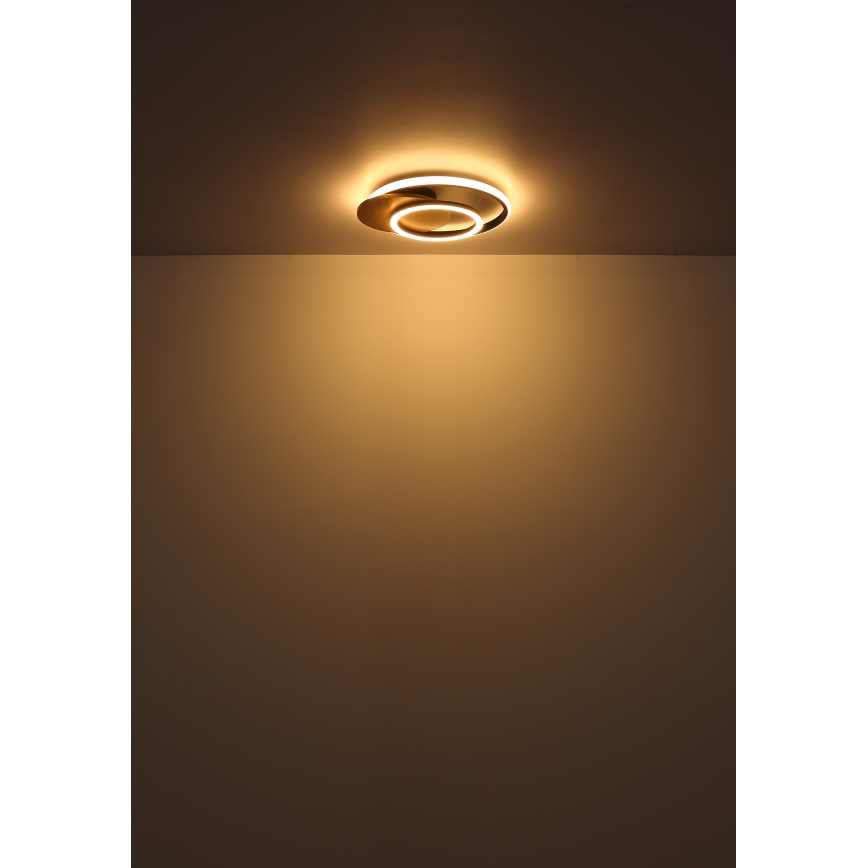Globo - LED lubinis šviestuvas LED/24W/230V juoda