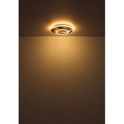 Globo - LED lubinis šviestuvas LED/24W/230V
