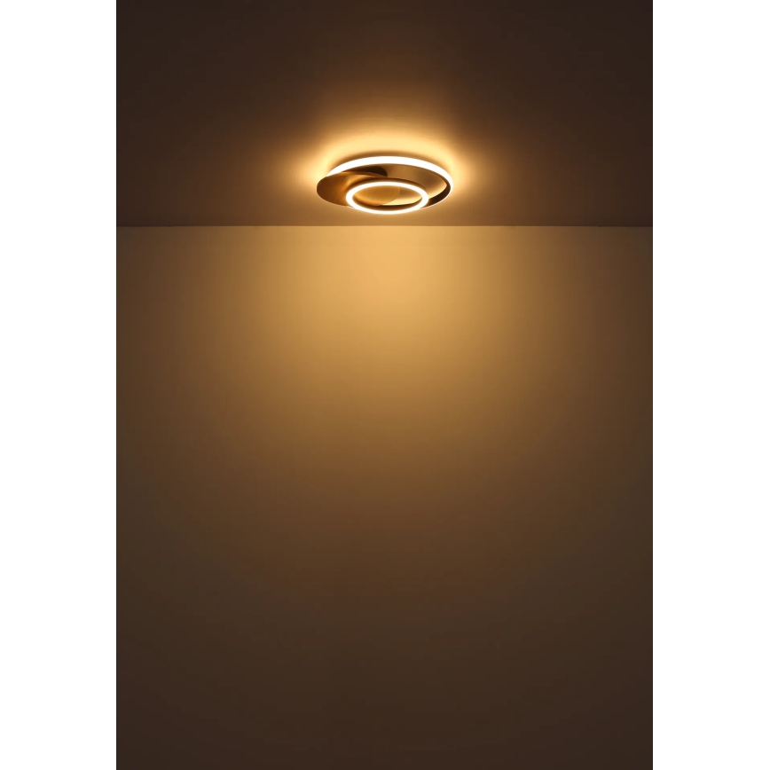 Globo - LED lubinis šviestuvas LED/24W/230V
