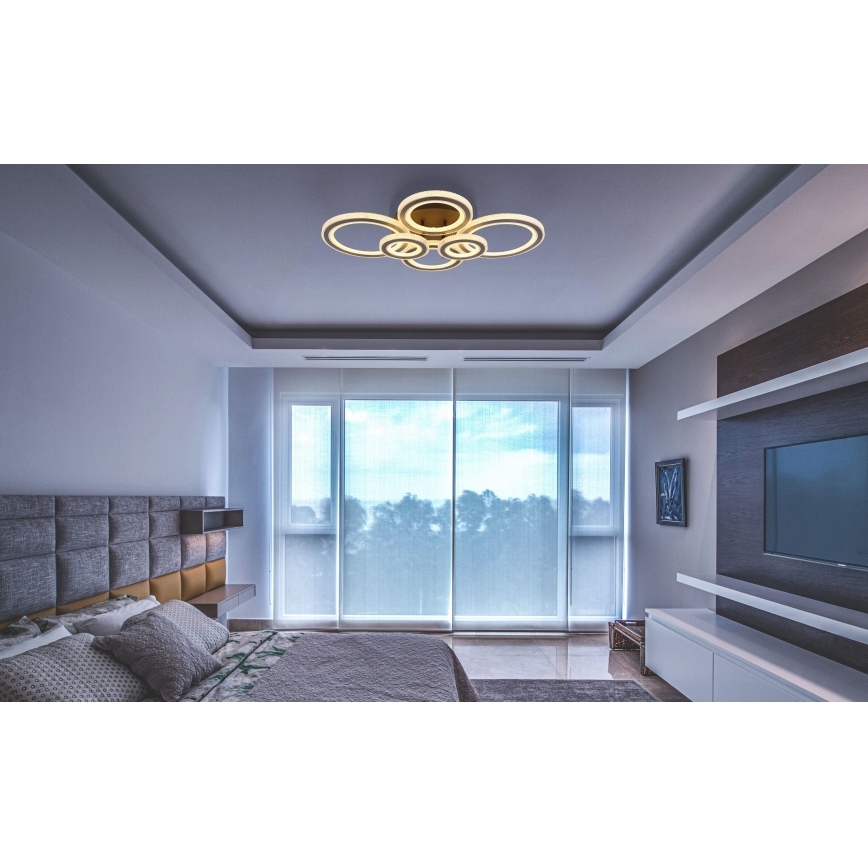 Globo - LED reguliuojamas lubų šviestuvas LED/60W/230V 2700-6000K 56x78 cm antracito spalvos + nuotolinio valdymo pultas