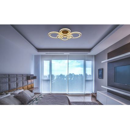 Globo - LED Pritemdomas lubinis šviestuvas LED/60W/230V 2700-6000K 56x78 cm antracitas + nuotolinio valdymo pultas