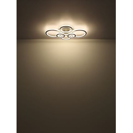 Globo - LED Pritemdomas lubinis šviestuvas LED/60W/230V 2700-6000K 56x78 cm antracitas + nuotolinio valdymo pultas