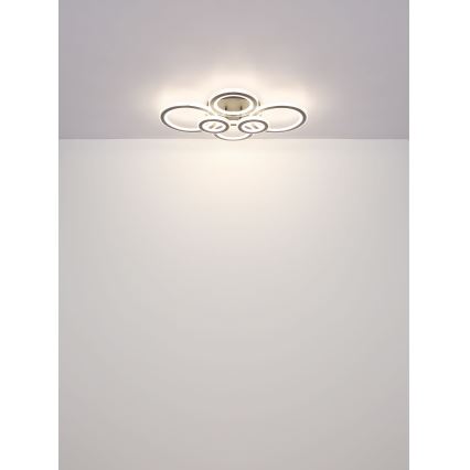 Globo - LED Pritemdomas lubinis šviestuvas LED/60W/230V 2700-6000K 56x78 cm antracitas + nuotolinio valdymo pultas