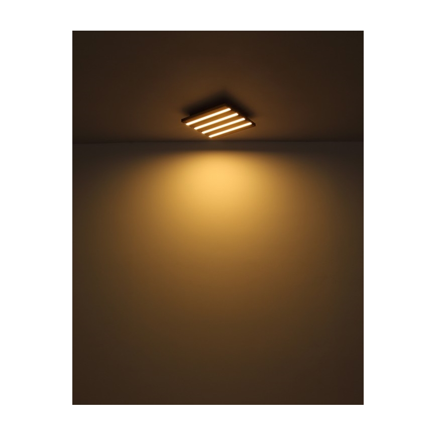 Globo - LED lubinis šviestuvas LED/15W/230V 3000K 30x30 cm