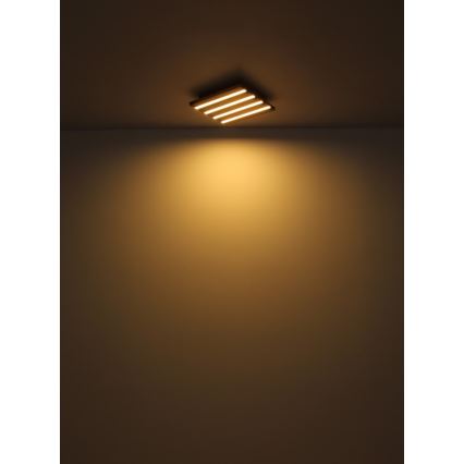 Globo - LED lubinis šviestuvas LED/30W/230V 3000K 45x45 cm medis