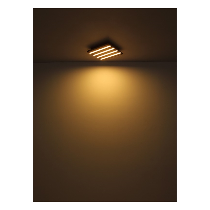 Globo - LED lubinis šviestuvas LED/30W/230V 3000K 45x45 cm medis