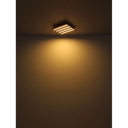 Globo - LED lubinis šviestuvas LED/30W/230V 3000K 80x20 cm medis