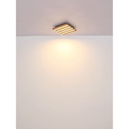 Globo - LED lubinis šviestuvas LED/30W/230V 3000K 80x20 cm medis