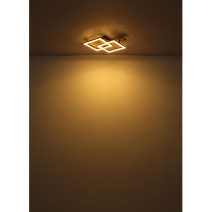 Globo - LED lubinis šviestuvas LED/16W/230V 3000K 33x44 cm