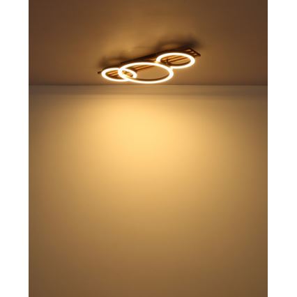 Globo - LED lubinis šviestuvas LED/24W/230V 3000K 30x62 cm