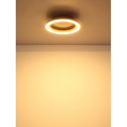 Globo - LED lubinis šviestuvas LED/12W/230V 3000K skersmuo 20,5 cm