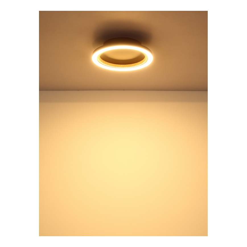 Globo - LED lubinis šviestuvas LED/12W/230V 3000K skersmuo 20,5 cm