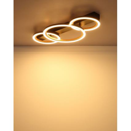 Globo - LED lubinis šviestuvas LED/40W/230V 3000K 58x30 cm