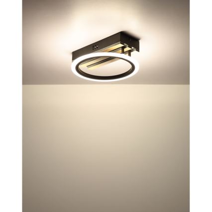 Globo - LED lubinis šviestuvas LED/10W/230V 3000/4200/600K 25x25 cm