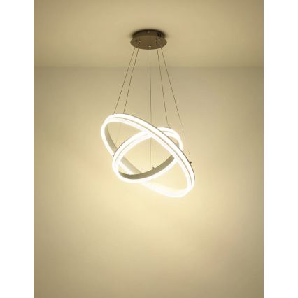 Globo - LED reguliuojamas pakabinamas šviestuvas ant laido LED/60W/230V 2700-6000K + nuotolinis valdymas