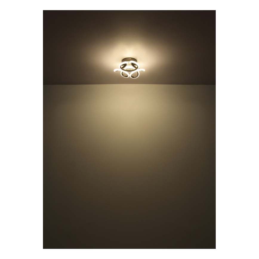 Globo - LED lubinis šviestuvas LED/24W/230V 2700/4000/6000K diametras 26 cm juoda
