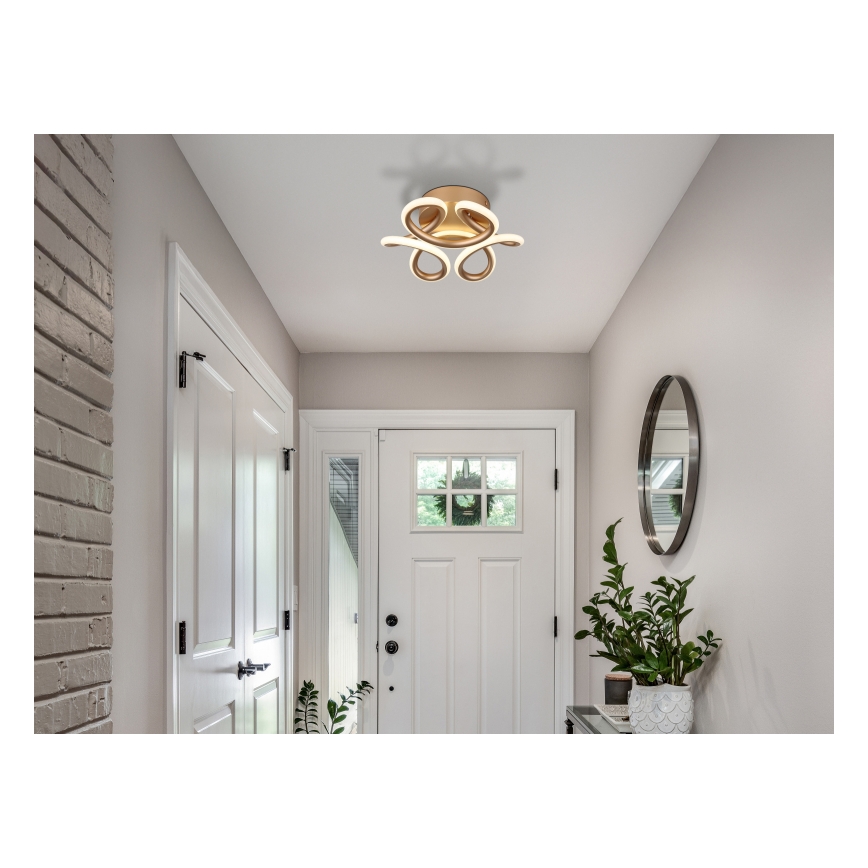 Globo - LED lubinis šviestuvas LED/24W/230V 2700/4000/6000K diametras 26 cm auksas