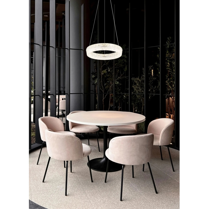 Globo - reguliuojama LED liustra ant laido LED/24W/230V 2700-6000K, skaidri + nuotolinis valdymas