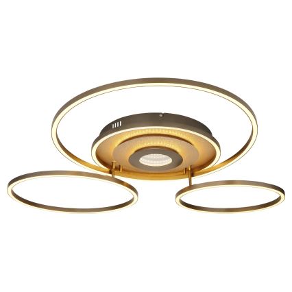 Globo - reguliuojamas LED lubinis šviestuvas LED/60W/230V 2700-6500K 80,8x99,2 cm rudas + su nuotoliniu pulteliu