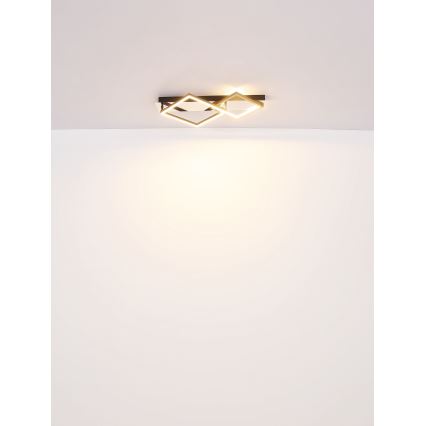 Globo - LED lubinis šviestuvas LED/24W/230V 3000K