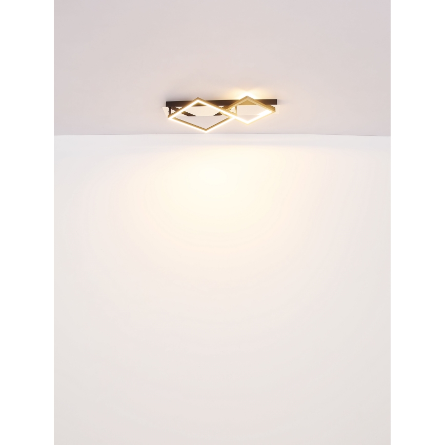 Globo - LED lubinis šviestuvas LED/24W/230V 3000K